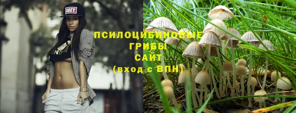 бошки Богданович